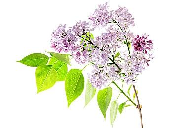 《暗黑破坏神4》实机片段上市预告片公布